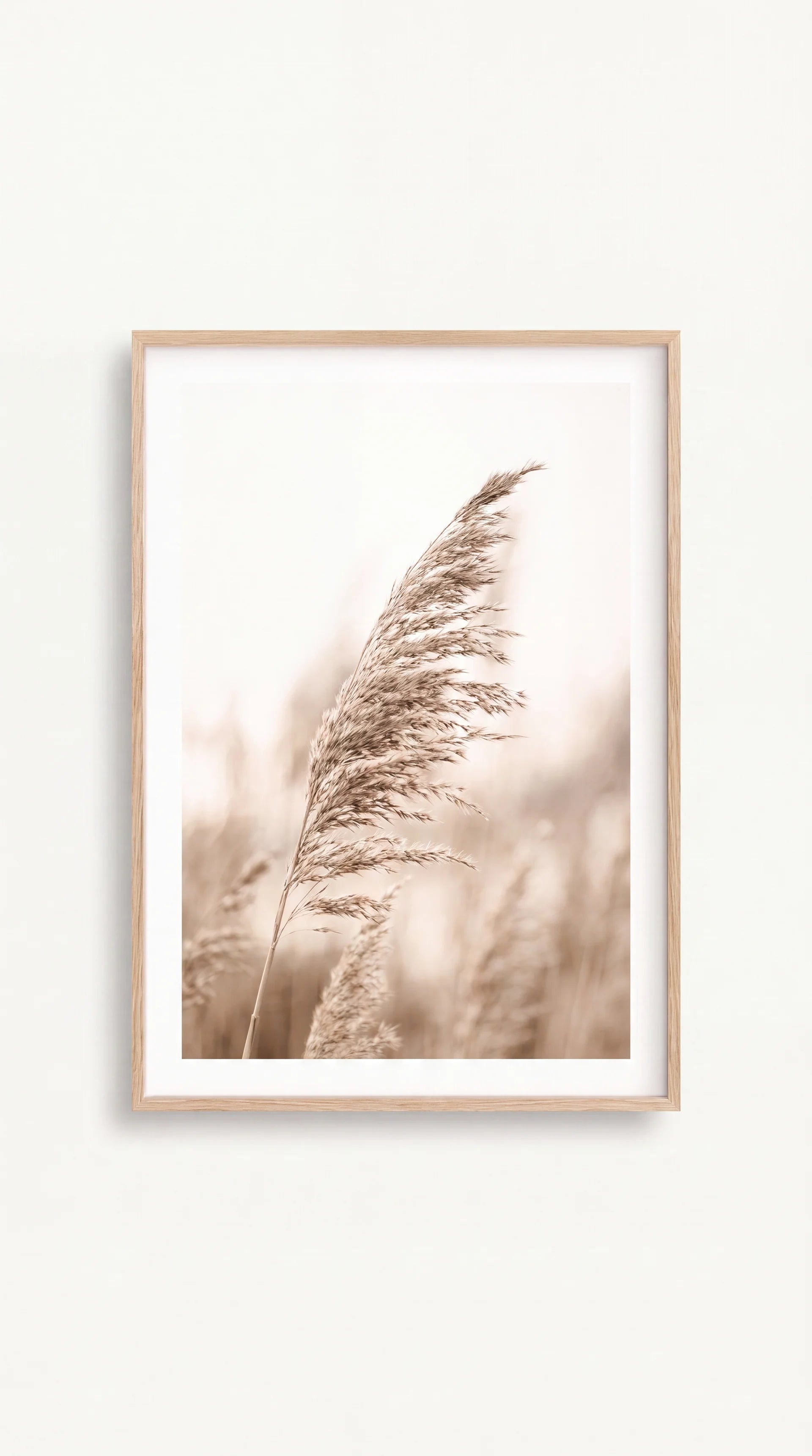 Beige Nature Trio Wall Prints